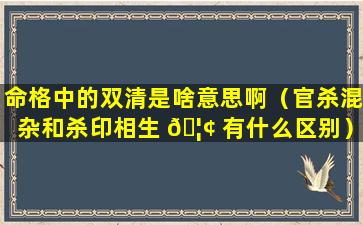 命格中的双清是啥意思啊（官杀混杂和杀印相生 🦢 有什么区别）